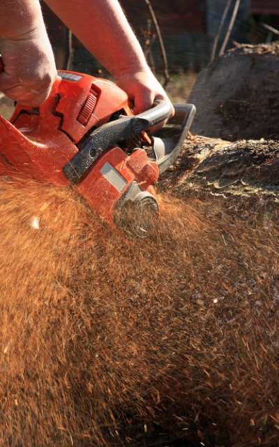 tools img saw 1 - Купить алкотестер